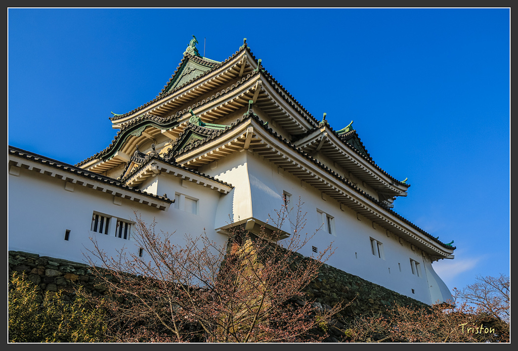 IMG_5980.jpg - 20160323 日本熊野古道健行