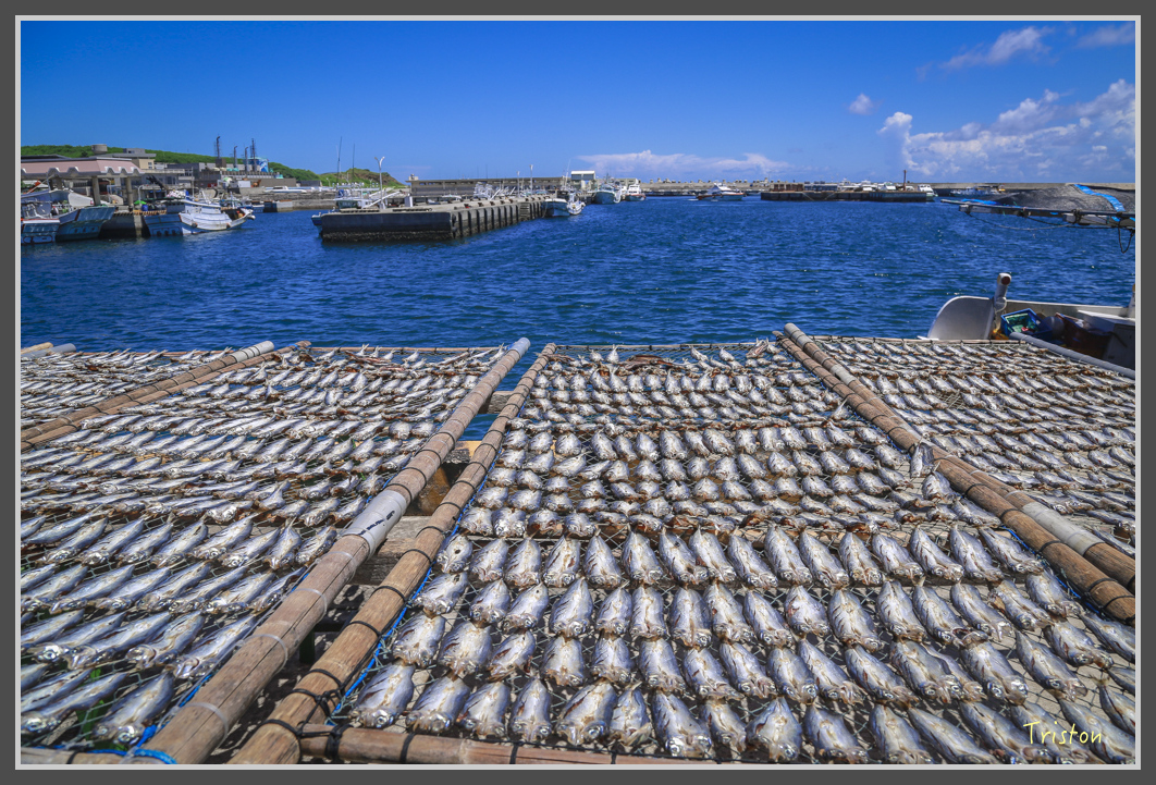 JH1A1488.jpg - 20160701 澎湖