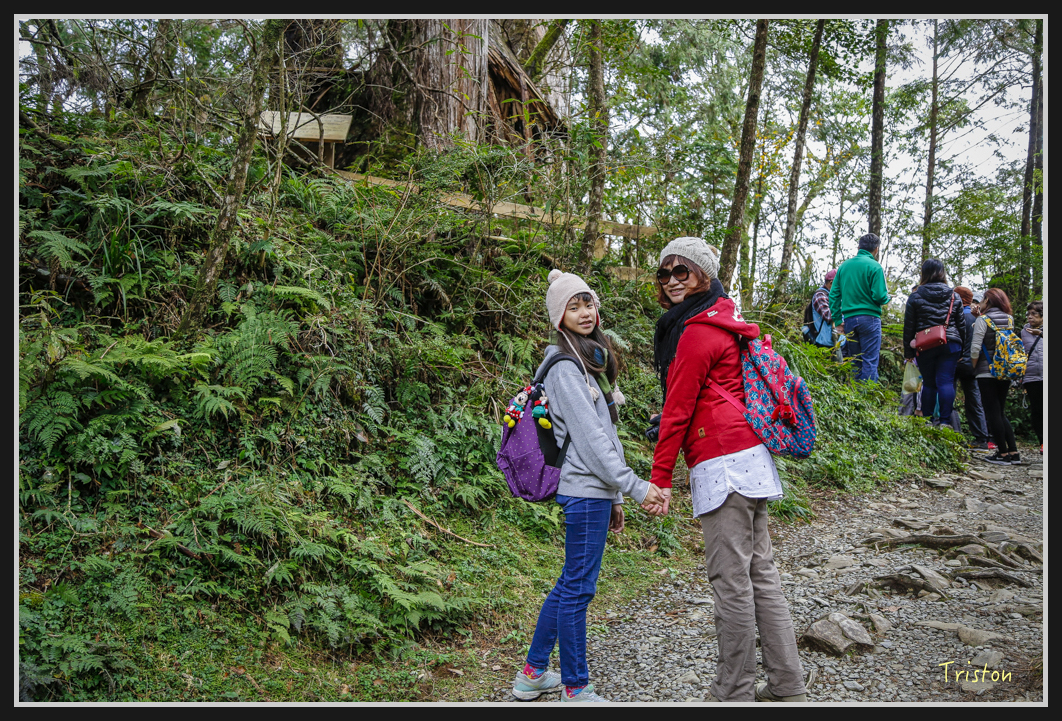 00121.jpg - 20161231 明池 神木園