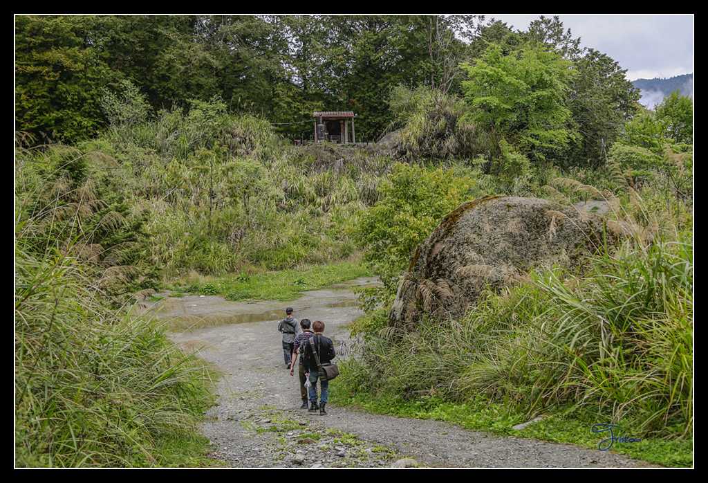 _H1A3609.jpg - 20170425 阿里山+圓潭螢火蟲