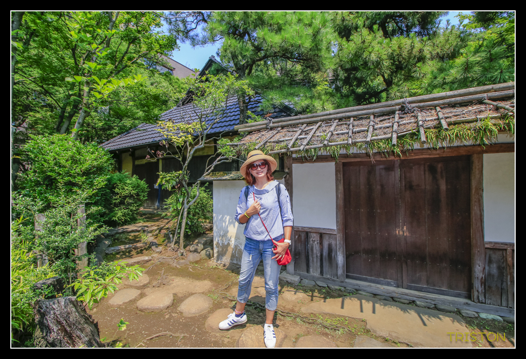 _MG_1831.jpg - 20170702 靜岡東海道之旅