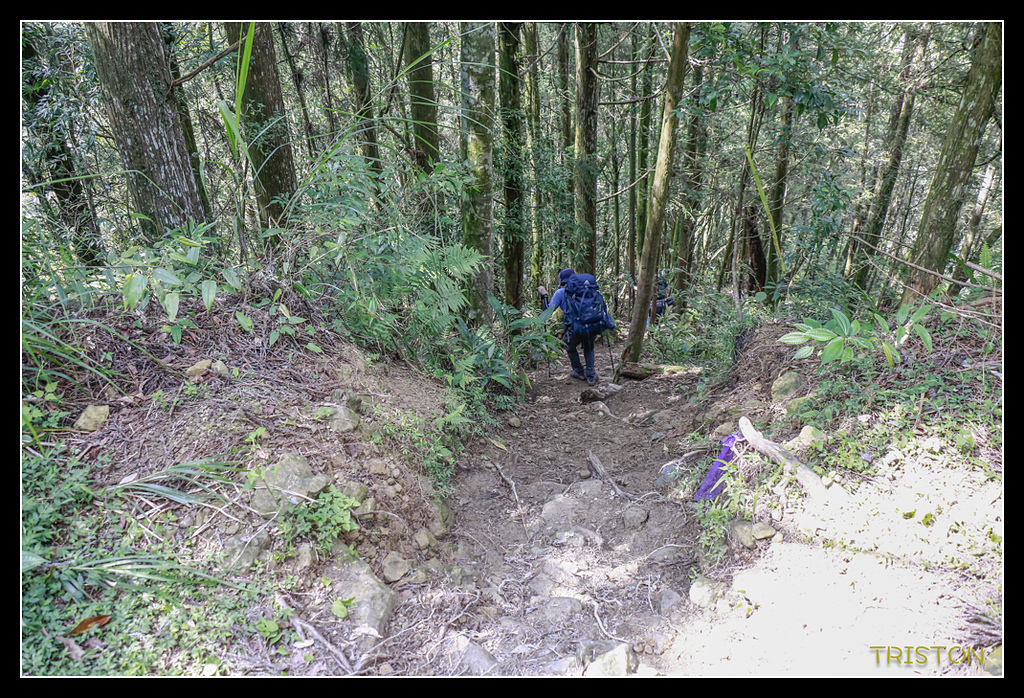 _MG_0410.jpg - 20170723 水漾森林