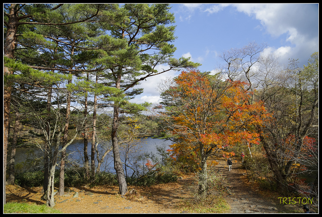 _H1A1376.jpg - 20171103 日本只見線、會津若松五色沼、昭和記念公園賞紅葉