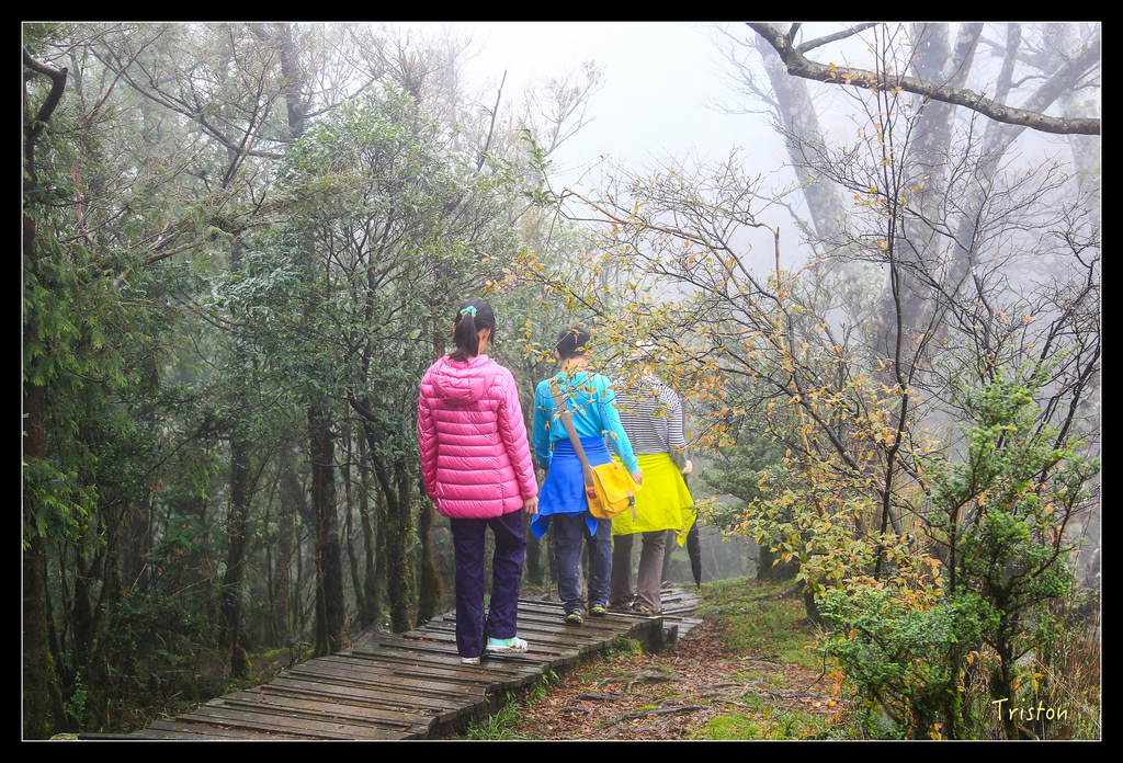 JH1A0223.jpg - 20151024~25 幾米公園、翠峰湖、翠峰山屋、望洋山步道、山毛櫸步道