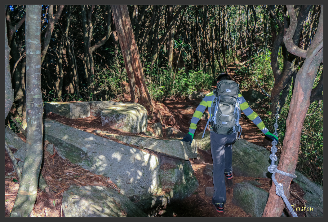 IMG_0441.jpg - 20151219 鳶嘴稍來山、小雪山林道