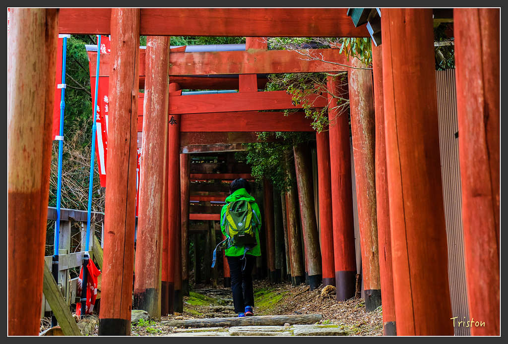 IMG_4481.jpg - 20160323 日本熊野古道健行