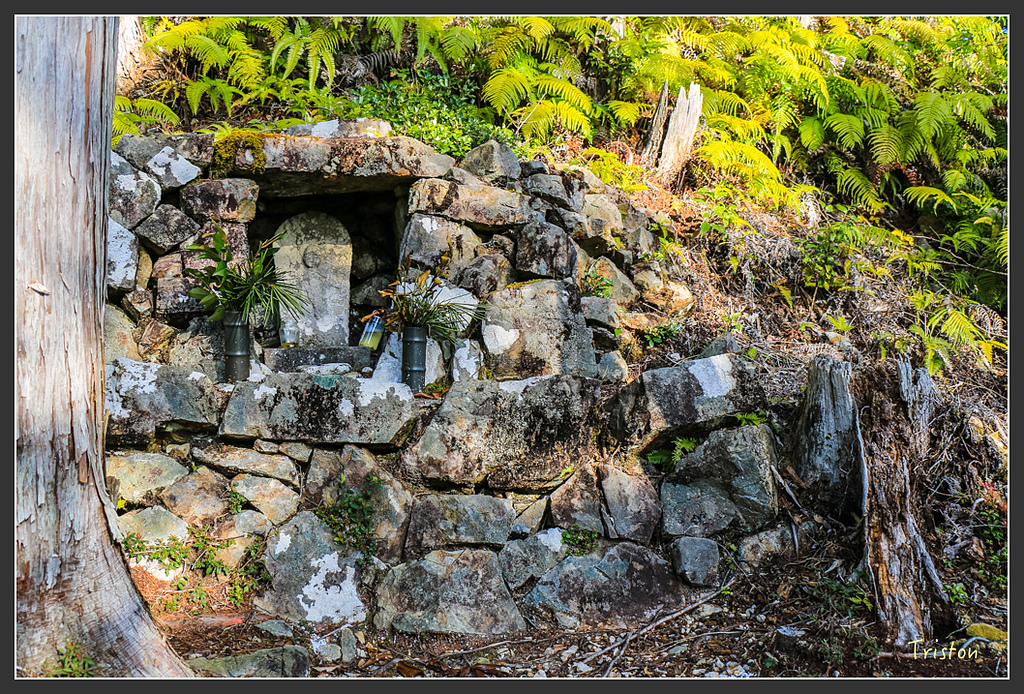 IMG_4641.jpg - 20160323 日本熊野古道健行