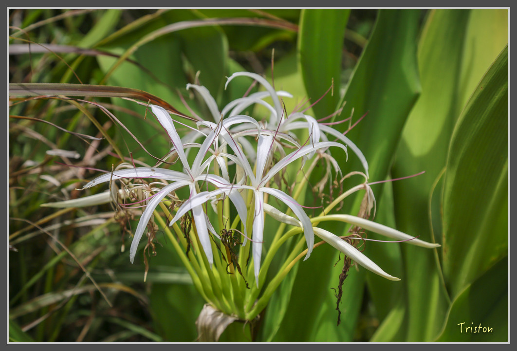 102 JH1A9838.jpg - 20160801 父子親子遊東北角