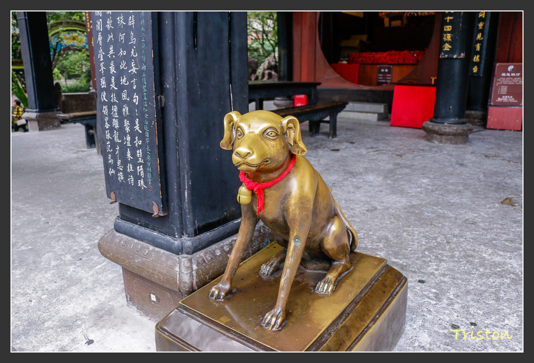 _MG_0176.jpg - 20161013 稻城亞丁