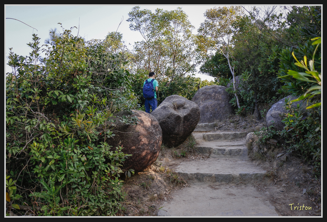 00112.jpg - 20170107 香港健行