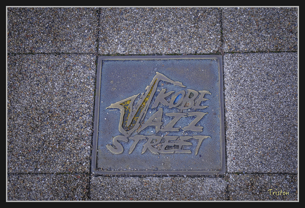 Canon-182.jpg - 20170120 大阪神戶親子遊 