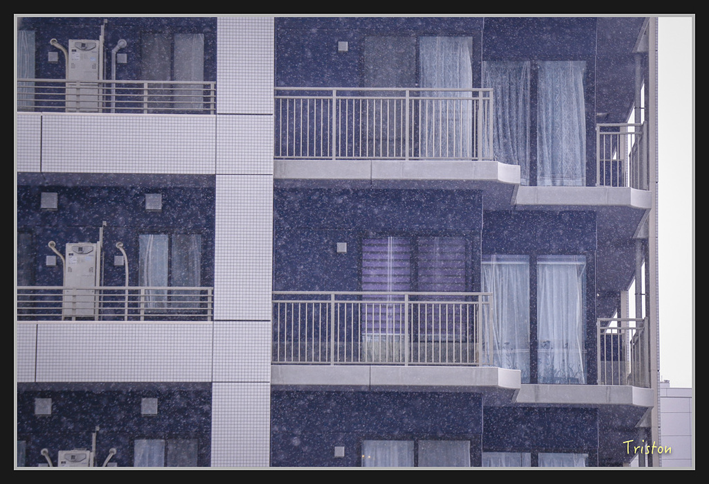 Canon-400.jpg - 20170120 大阪神戶親子遊