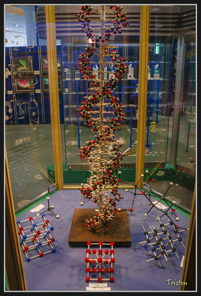 Canon-501.jpg - 20170120 大阪神戶親子遊 