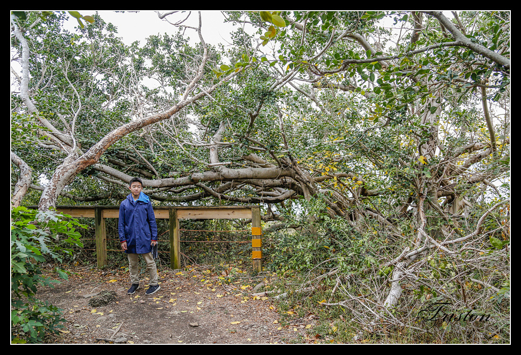 _H1A3199.jpg - 20170401 墾丁