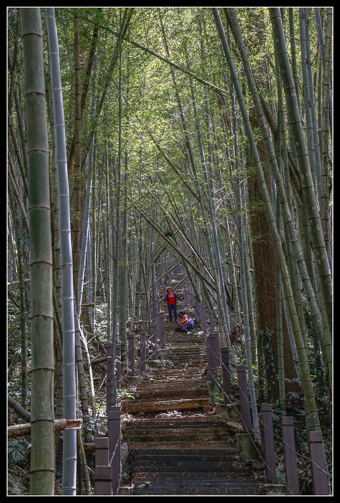 _MG_0144.jpg - 20170408 瑞太古道