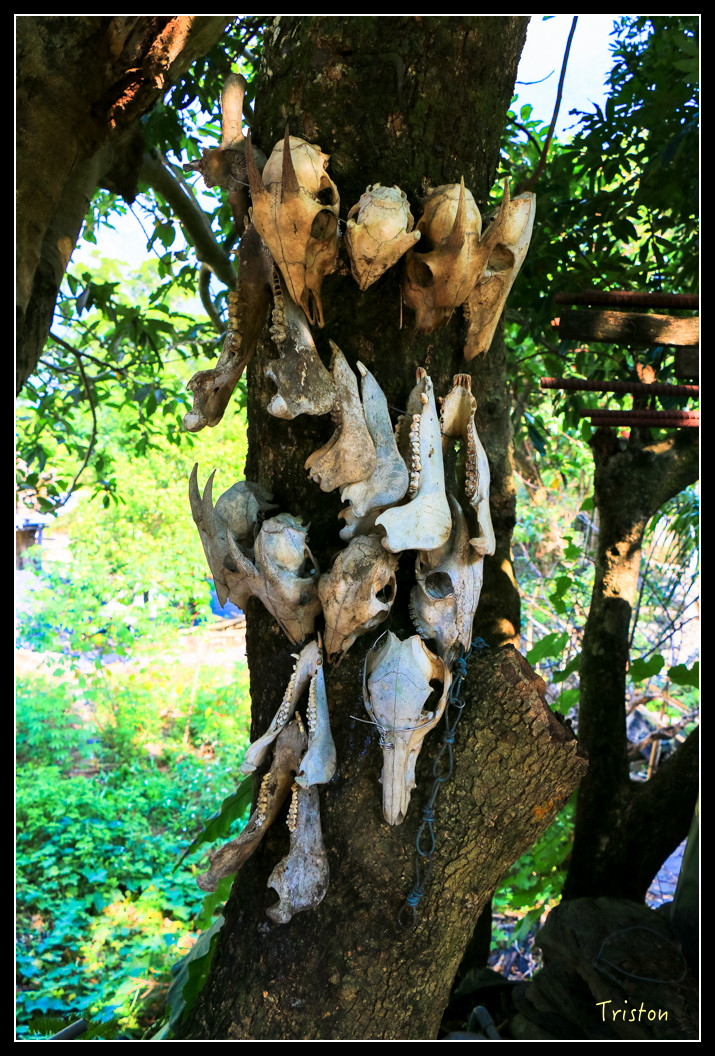 IMG_9542.jpg - 20151202 老七佳部落