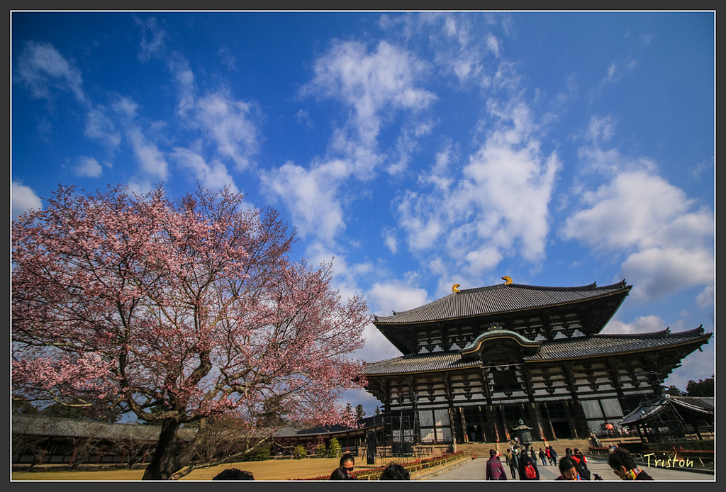 IMG_4401.jpg - 20160323 日本熊野古道健行