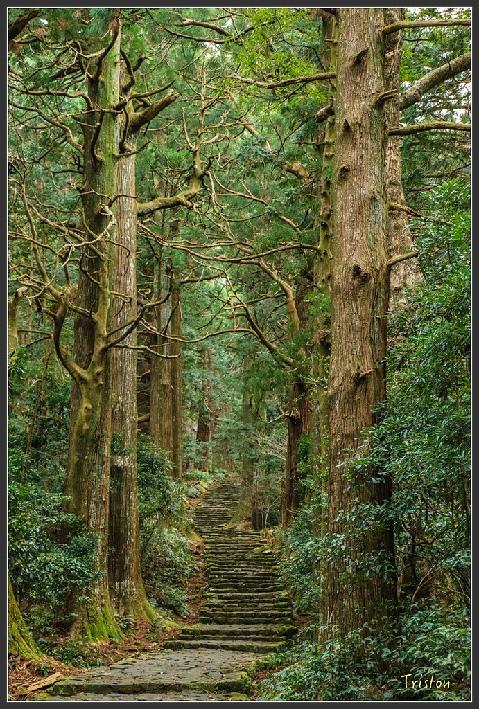 IMG_5733.jpg - 20160323 日本熊野古道健行