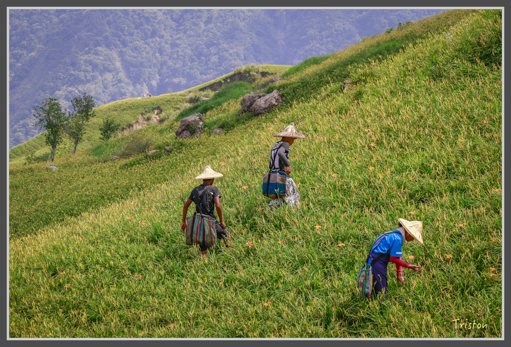 IMG-477.jpg - 20160821 中橫花東之旅