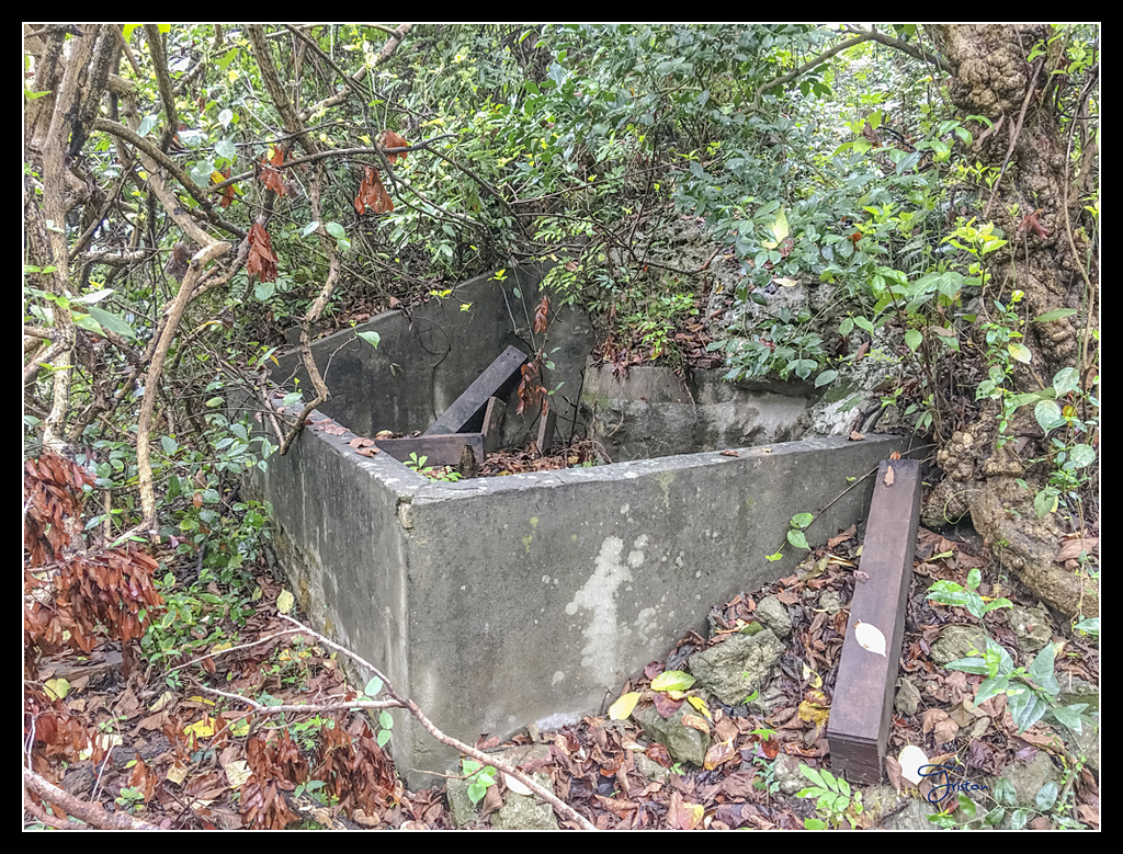 IMG_2768.jpg - 20170422 左營龜山步道、舊城