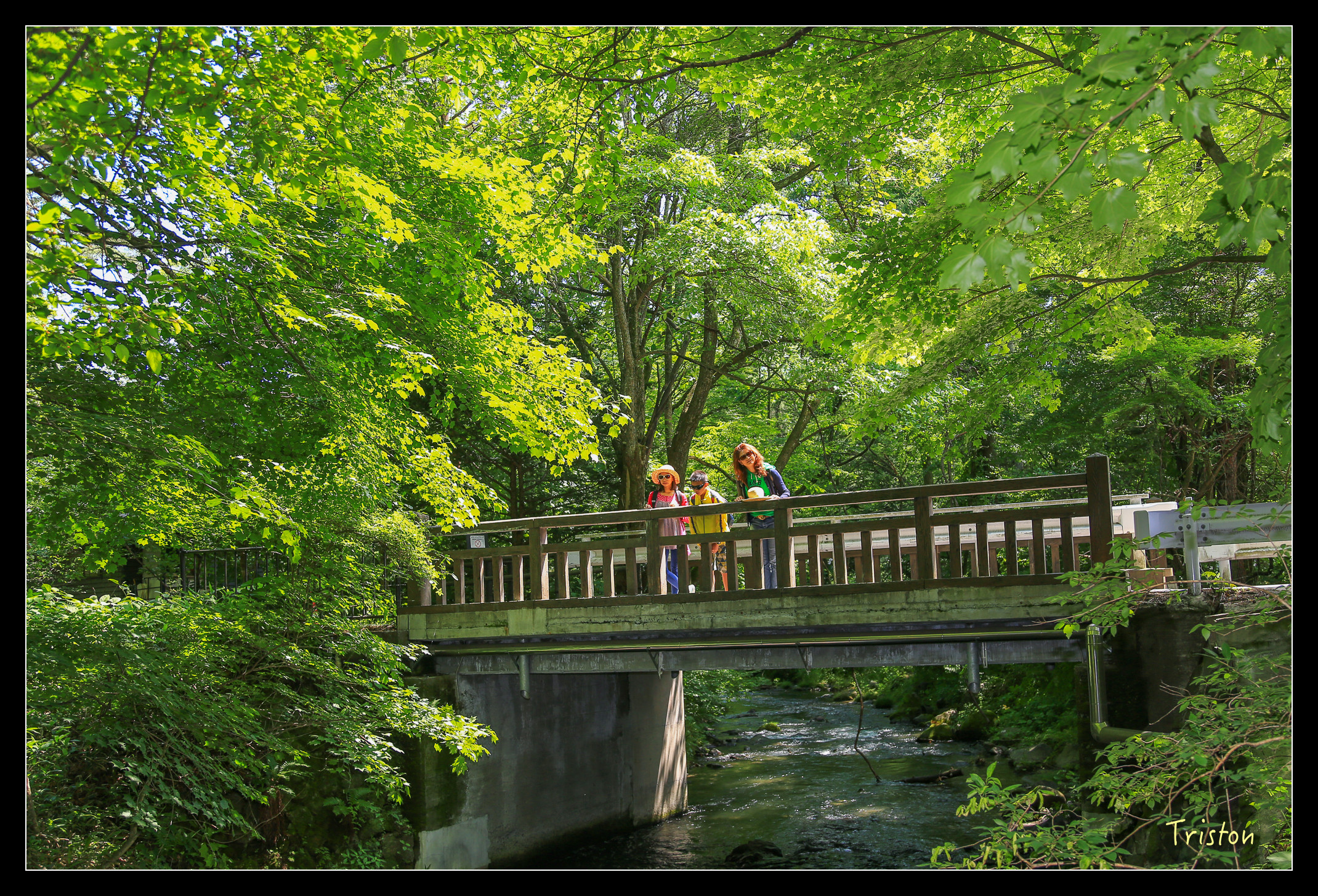 JH1A9094.jpg - 20150628 東京輕井澤日光