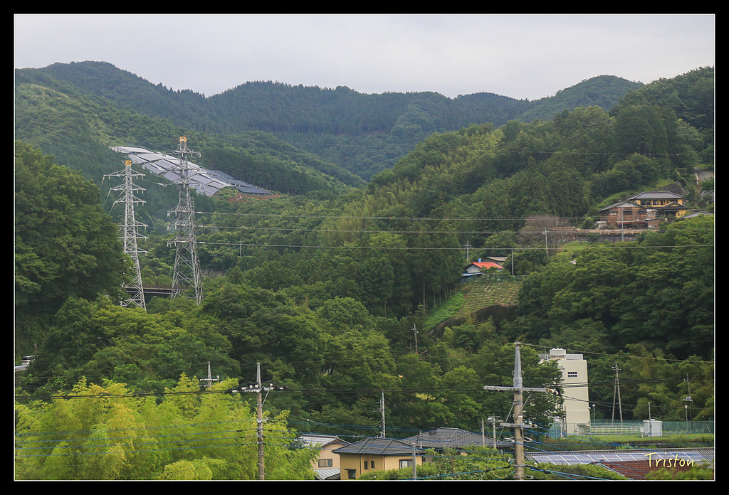 JH1A9703.jpg - 20150628 東京輕井澤日光