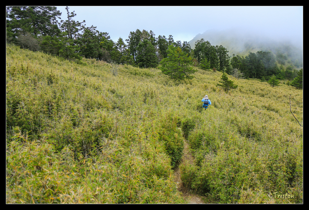 IMG_8752.jpg - 20151017 郡大林道、望鄉山、郡大山
