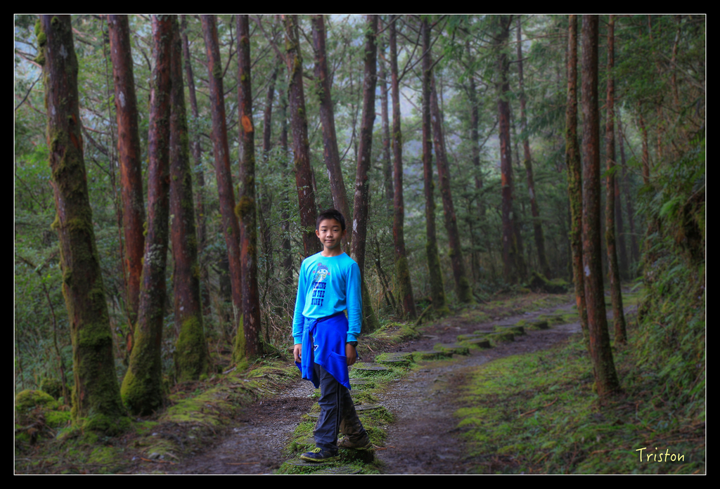 JH1A0242.jpg - 20151024~25 幾米公園、翠峰湖、翠峰山屋、望洋山步道、山毛櫸步道