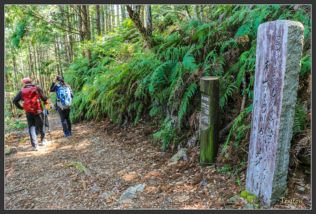IMG_5141.jpg - 20160323 日本熊野古道健行
