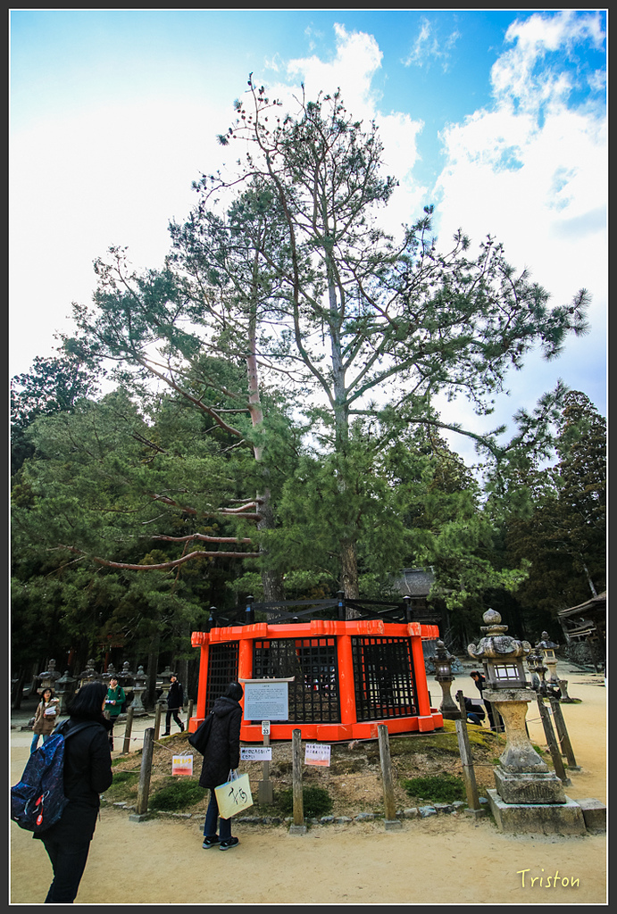 IMG_4564.jpg - 20160323 日本熊野古道健行