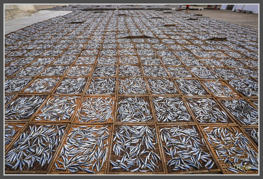 JH1A1115.jpg - 20160701 澎湖