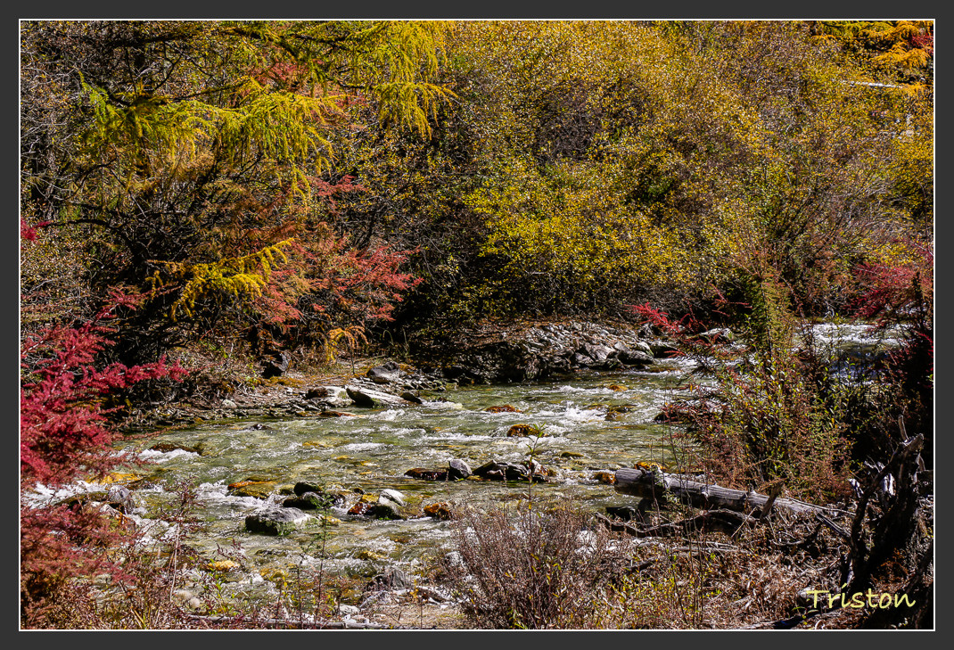 _MG_2206.jpg - 20161013 稻城亞丁