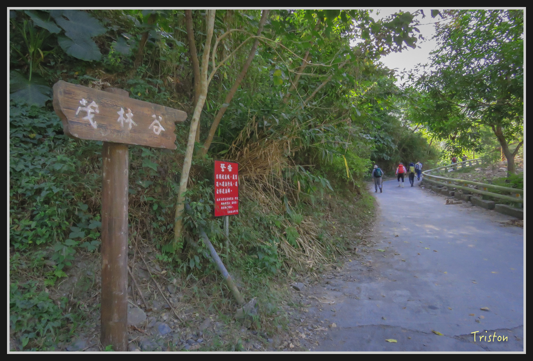 IMG_0681.jpg - 20170111 龍頭山步道、羅木斯步道、茂林谷瀑布