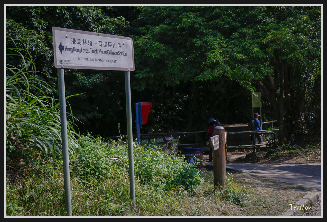 00174.jpg - 20170107 香港健行