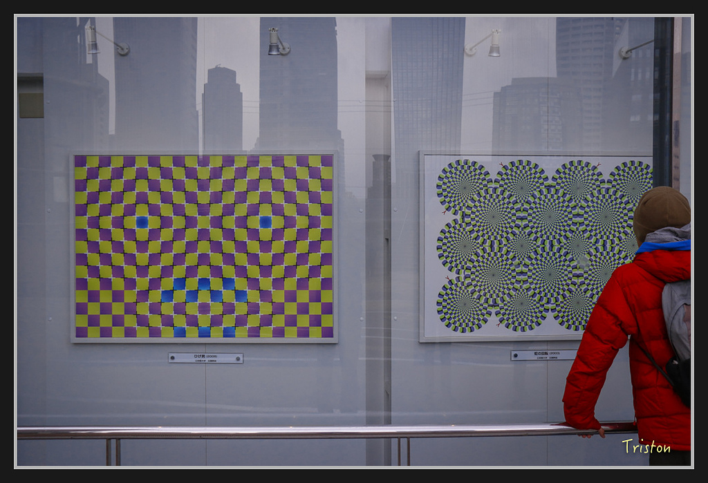 Canon-573.jpg - 20170120 大阪神戶親子遊 