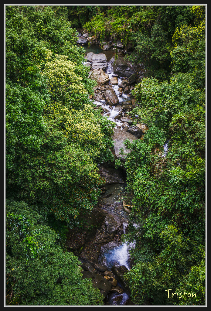 2017-02-27 10.03.53 下午 _MG_0300.jpg - 20170225 玉里瓦拉米