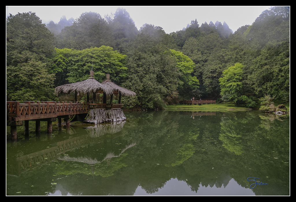 _H1A3737.jpg - 20170425 阿里山+圓潭螢火蟲