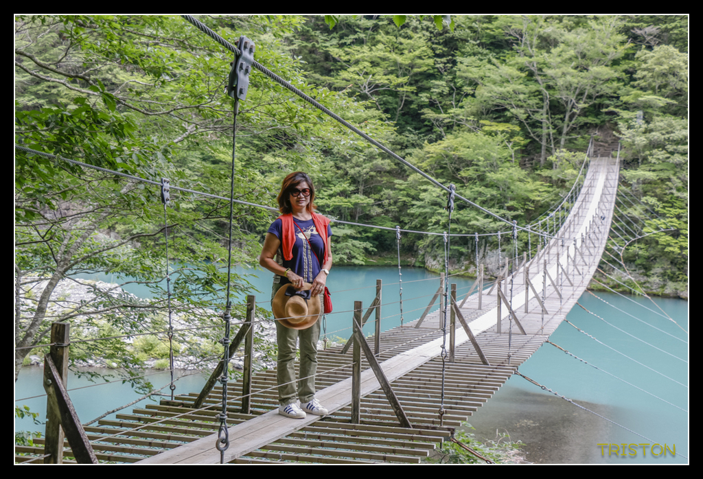 _MG_0752.jpg - 20170702 靜岡東海道之旅