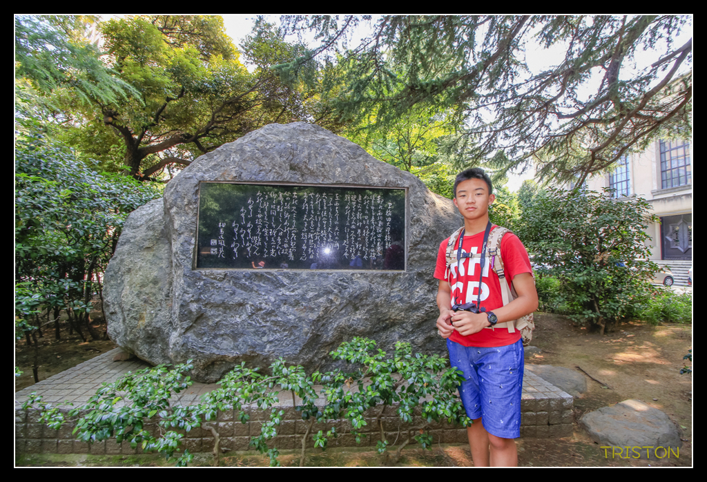 _MG_1842.jpg - 20170702 靜岡東海道之旅