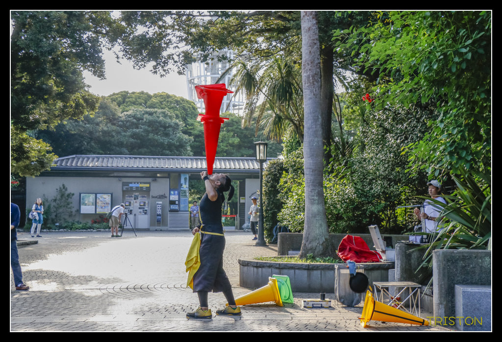 _MG_1649.jpg - 20170702 靜岡東海道之旅