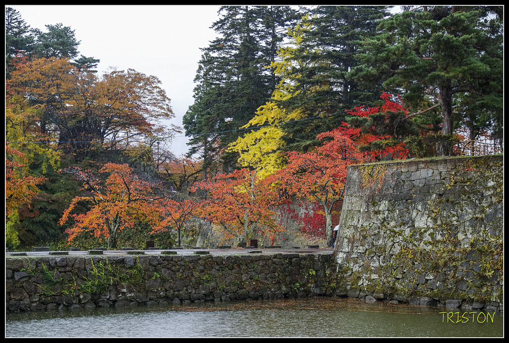 _H1A0867.jpg - 20171103 日本只見線、會津若松五色沼、昭和記念公園賞紅葉