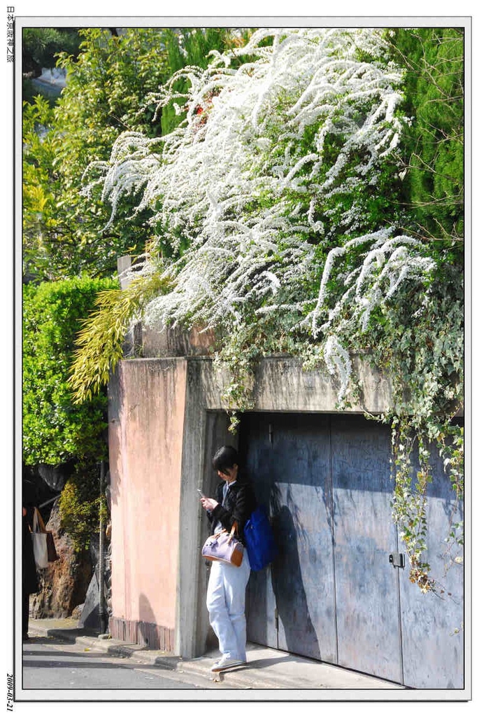 2009-03-21-12_47_03.jpg - 20090320 日本京阪神之旅