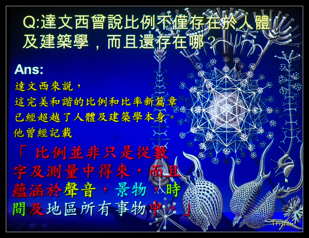 DSC00573.jpg - 20151120 美人建築課程-維特魯威人