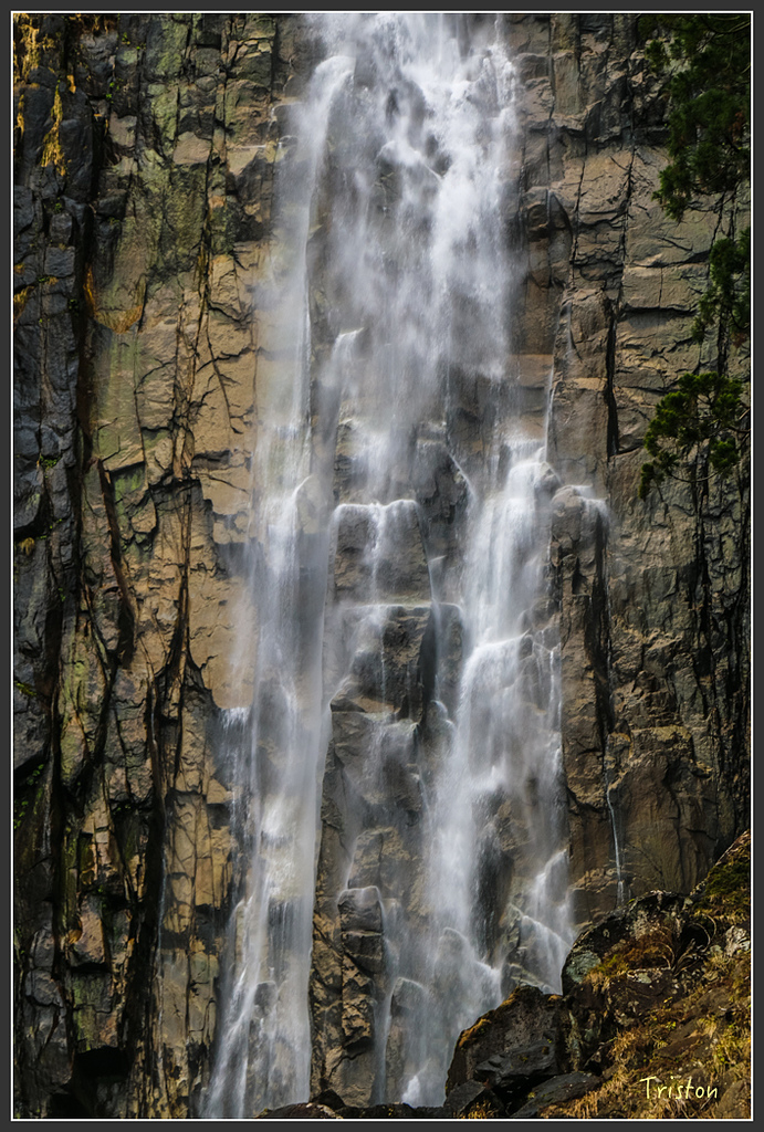 IMG_5719.jpg - 20160323 日本熊野古道健行