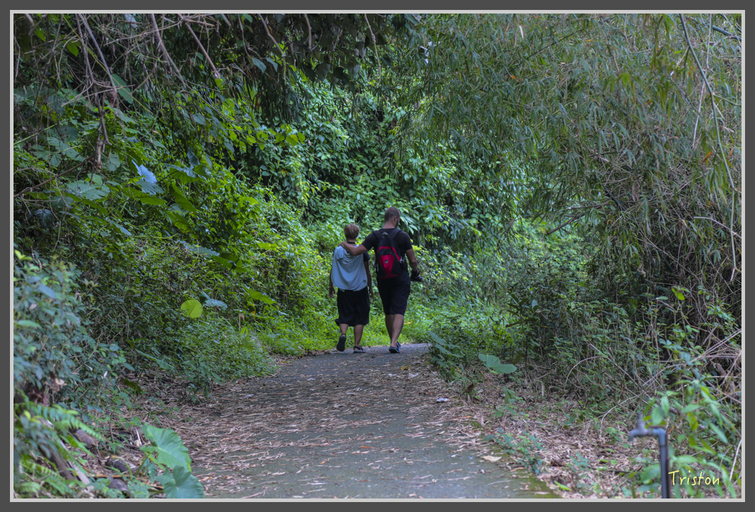 JH1A1882.jpg - 20160725 大津瀑布