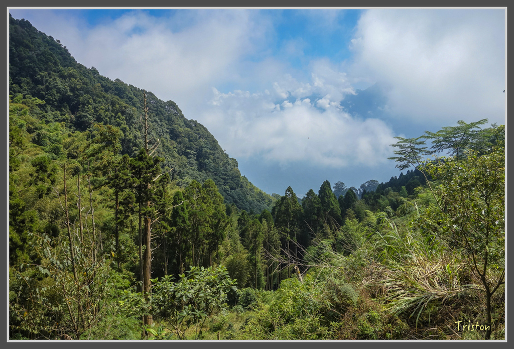 DSC00790.jpg - 20160924 溪頭台寅山
