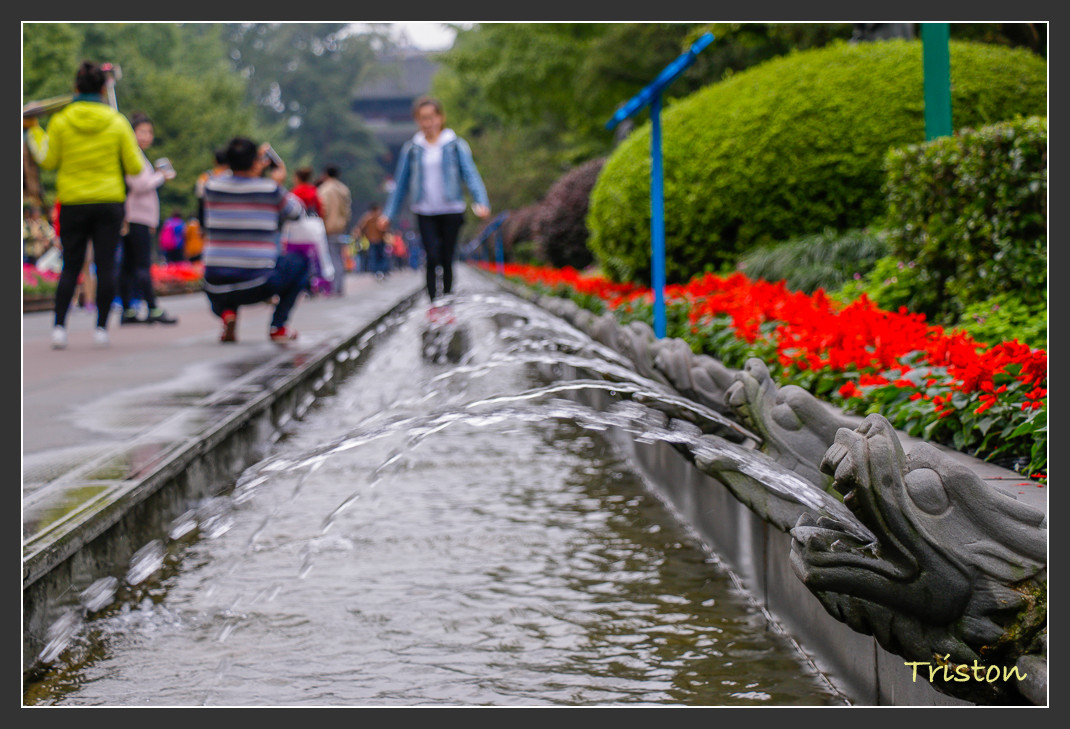 _MG_0061.jpg - 20161013 稻城亞丁