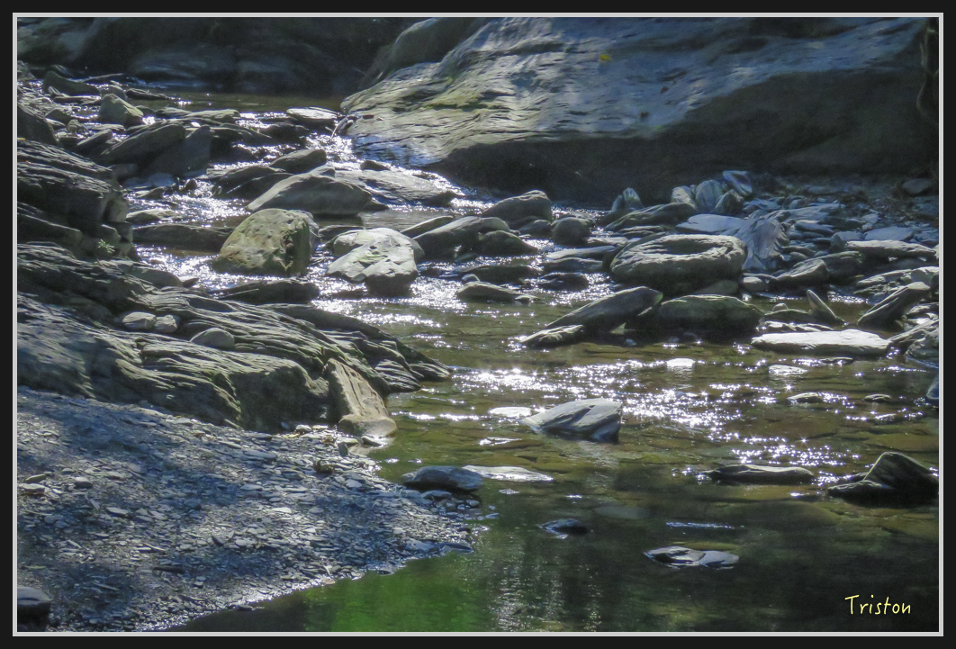 IMG_0688.jpg - 20170111 龍頭山步道、羅木斯步道、茂林谷瀑布