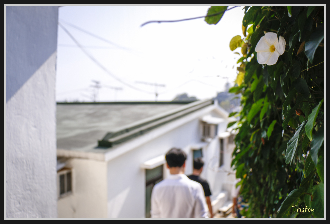 00179.jpg - 20170107 香港健行