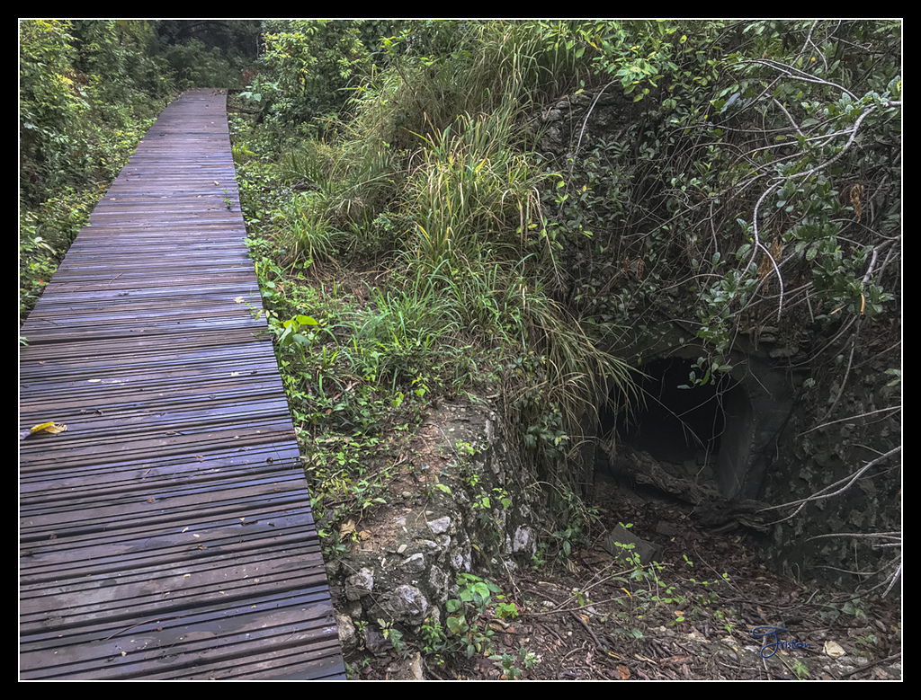 IMG_2778.jpg - 20170422 左營龜山步道、舊城